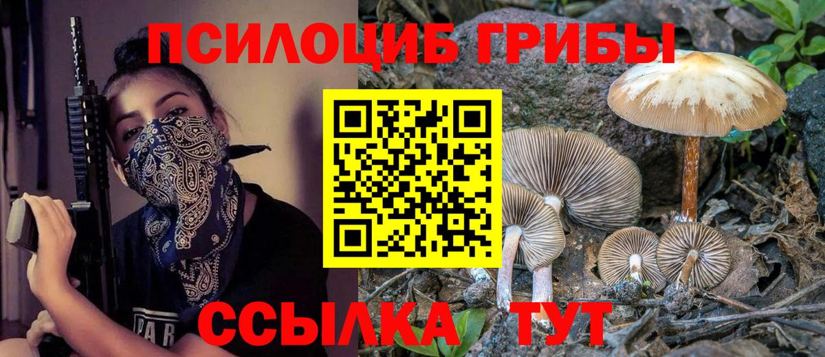 Псилоцибиновые грибы мицелий  Вход с VPN  Ленинск-Кузнецкий 