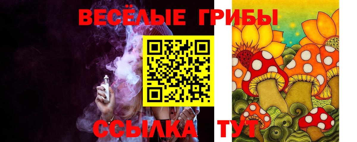 Галлюциногенные грибы мицелий Ленинск-Кузнецкий